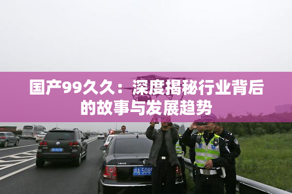 国产99久久：深度揭秘行业背后的故事与发展趋势