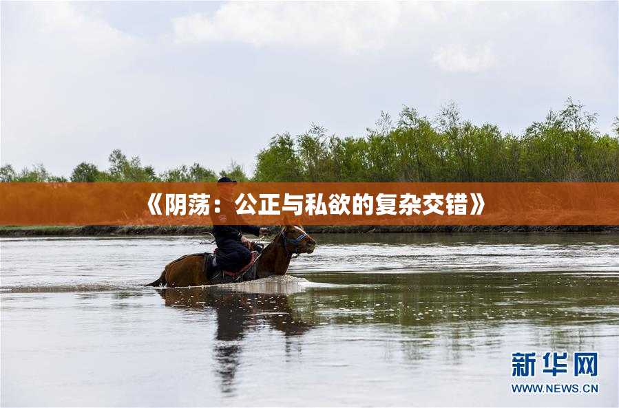 《阴荡：公正与私欲的复杂交错》