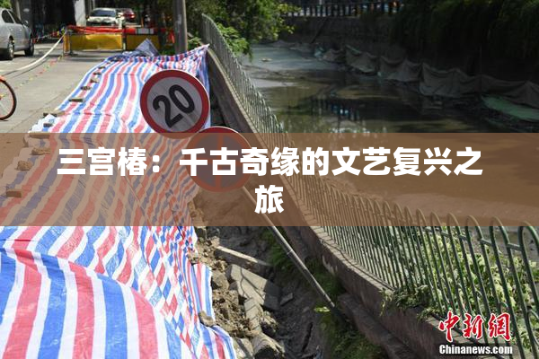 三宫椿：千古奇缘的文艺复兴之旅