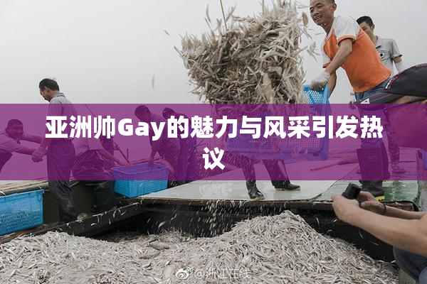 亚洲帅Gay的魅力与风采引发热议