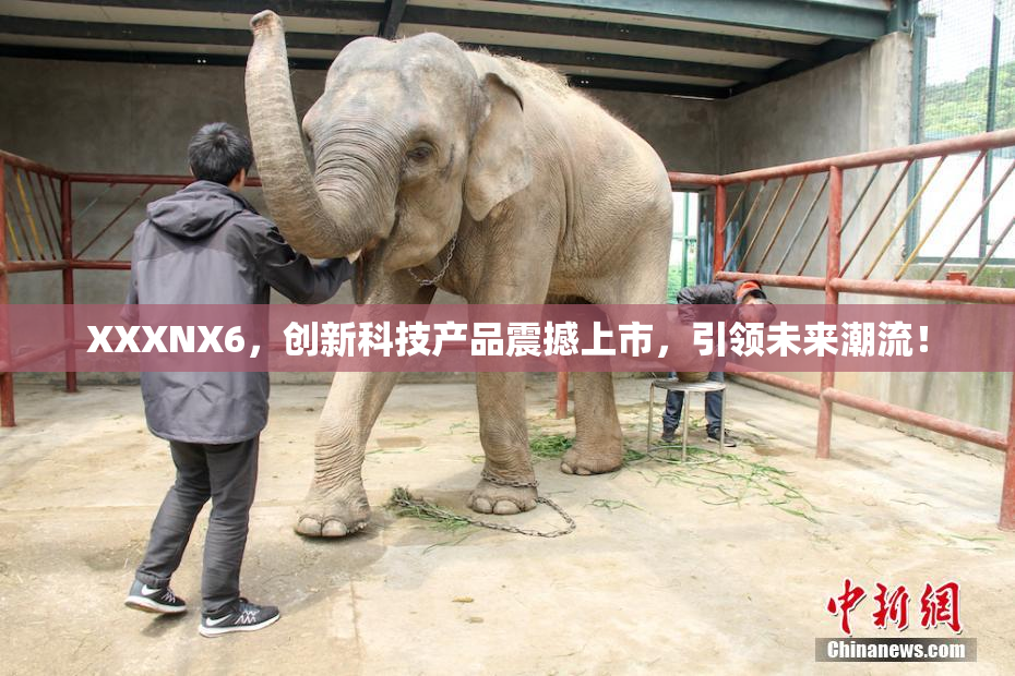XXXNX6，创新科技产品震撼上市，引领未来潮流！