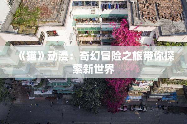 《猫》动漫：奇幻冒险之旅带你探索新世界