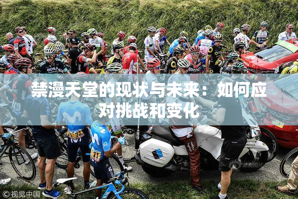 禁漫天堂的现状与未来：如何应对挑战和变化