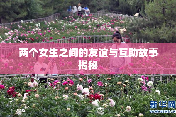 两个女生之间的友谊与互助故事揭秘