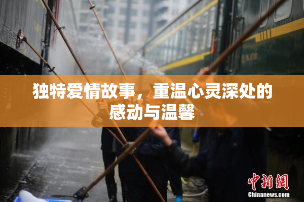独特爱情故事，重温心灵深处的感动与温馨