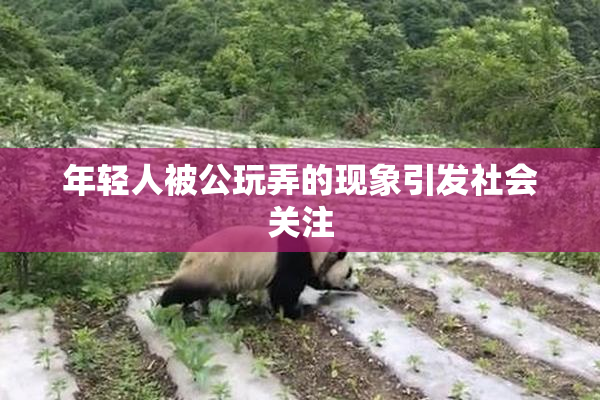 年轻人被公玩弄的现象引发社会关注