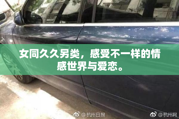 女同久久另类，感受不一样的情感世界与爱恋。