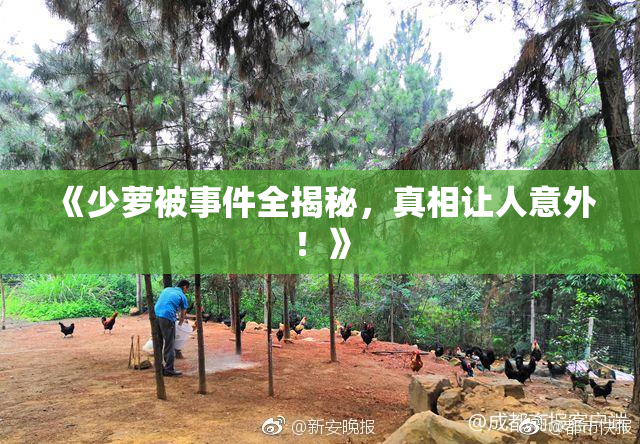 《少萝被事件全揭秘，真相让人意外！》