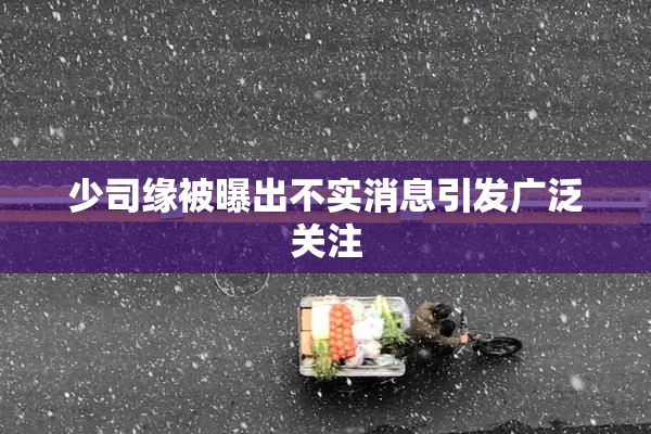 少司缘被曝出不实消息引发广泛关注
