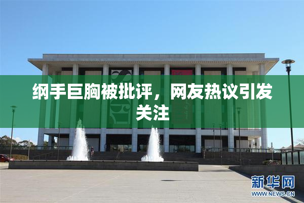 纲手巨胸被批评，网友热议引发关注