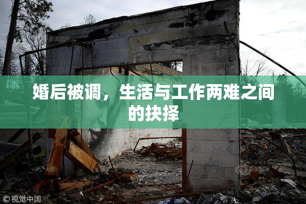 婚后被调，生活与工作两难之间的抉择