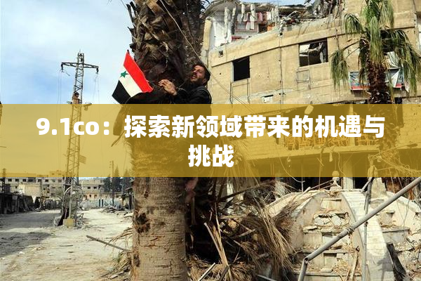 9.1co：探索新领域带来的机遇与挑战
