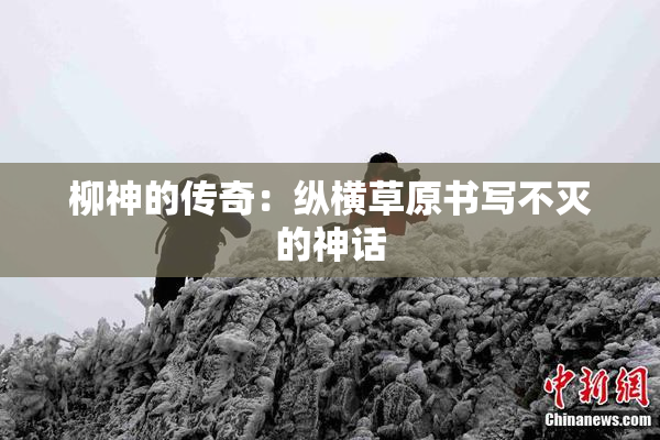 柳神的传奇：纵横草原书写不灭的神话