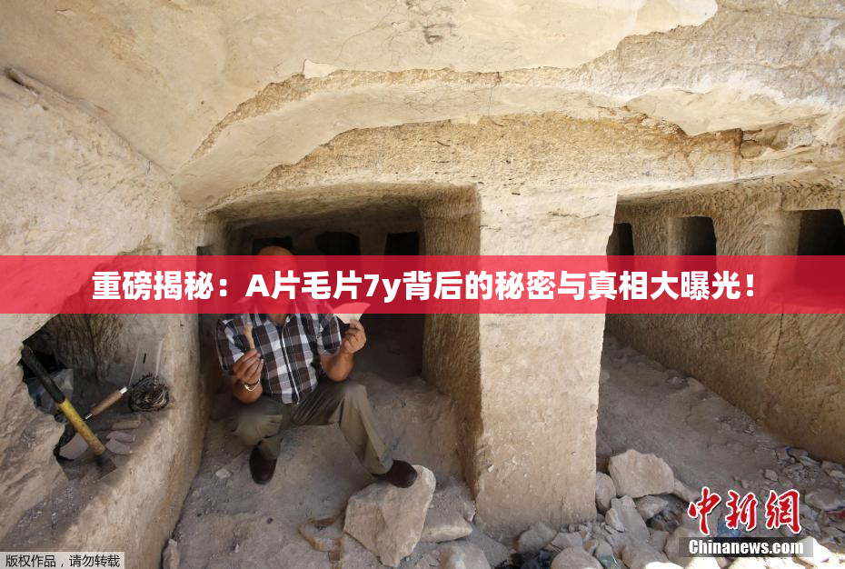 重磅揭秘：A片毛片7y背后的秘密与真相大曝光！