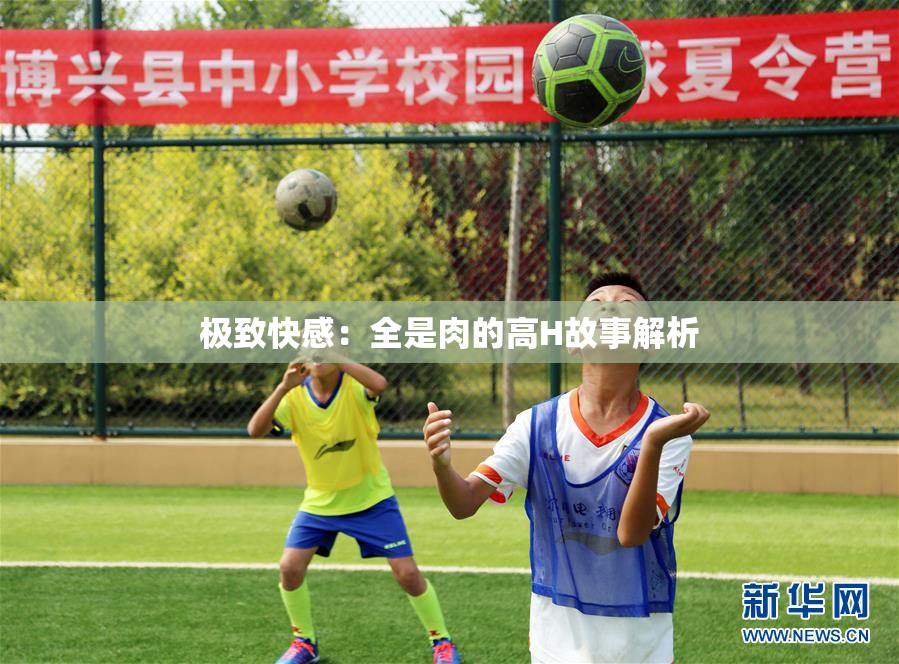 极致快感：全是肉的高H故事解析