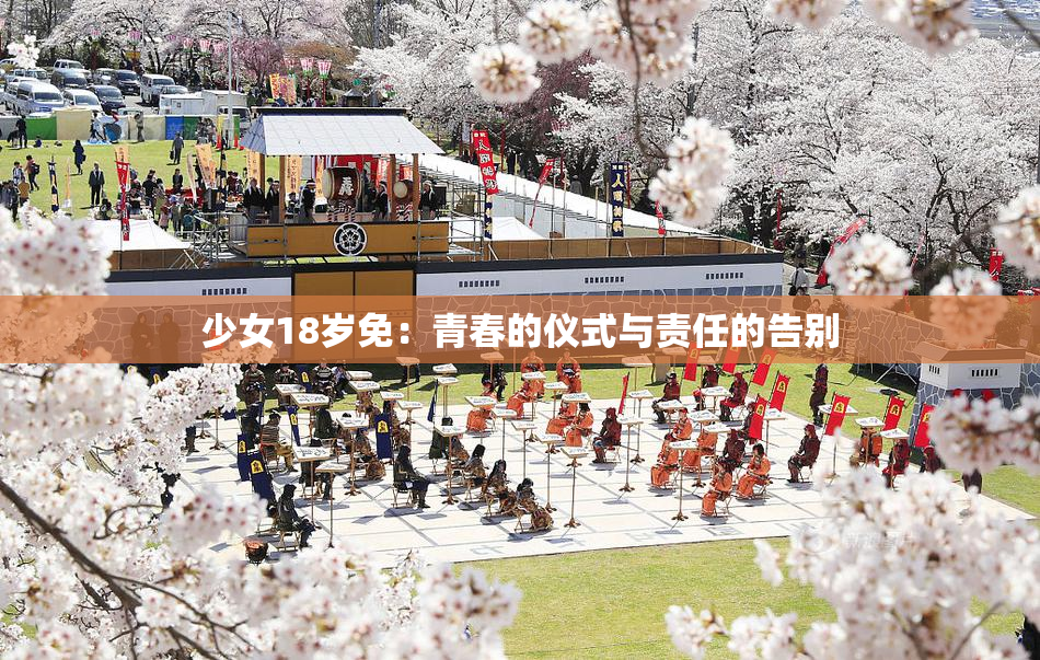 少女18岁免：青春的仪式与责任的告别