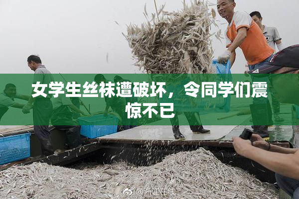 女学生丝袜遭破坏，令同学们震惊不已