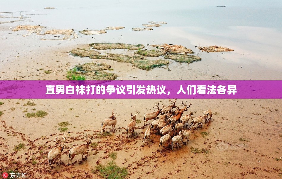 直男白袜打的争议引发热议，人们看法各异