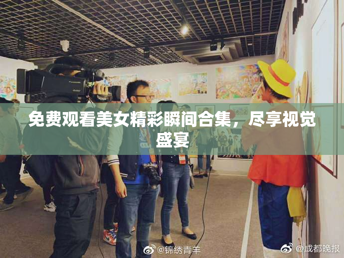 免费观看美女精彩瞬间合集，尽享视觉盛宴