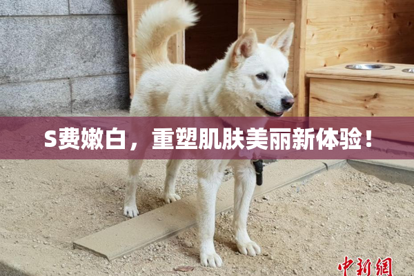 S费嫩白，重塑肌肤美丽新体验！