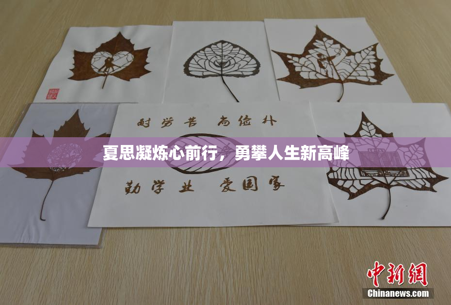 夏思凝炼心前行，勇攀人生新高峰
