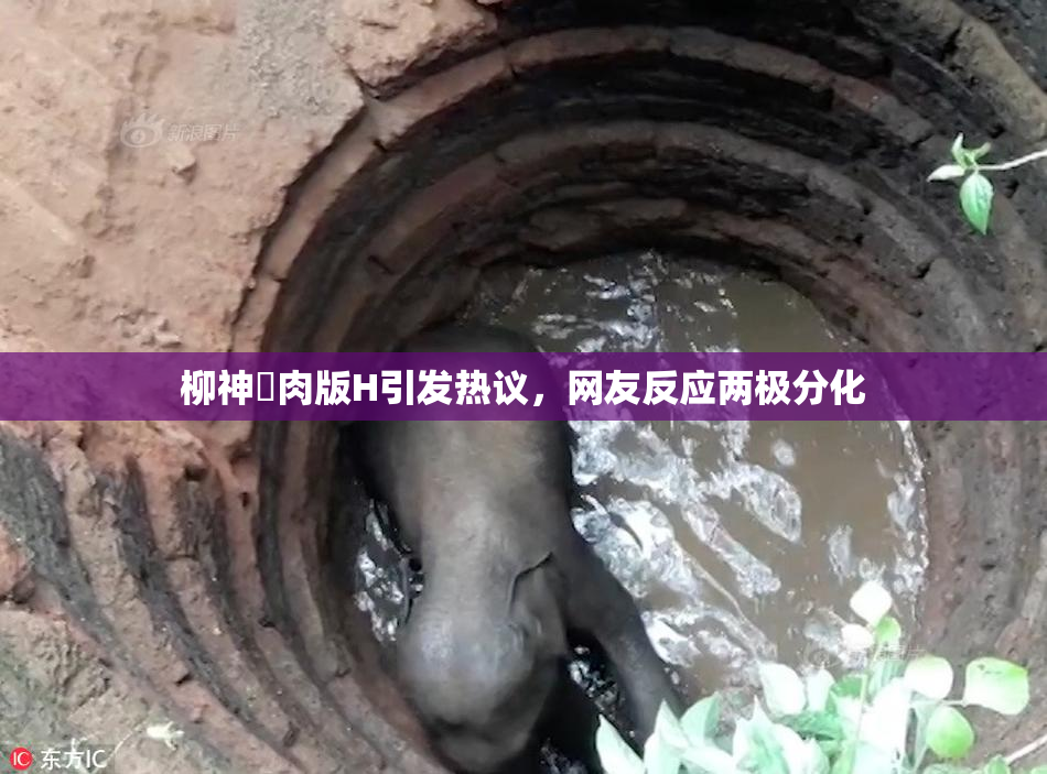 柳神婬肉版H引发热议，网友反应两极分化