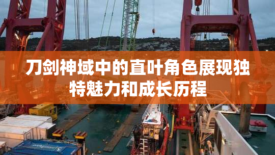 刀剑神域中的直叶角色展现独特魅力和成长历程