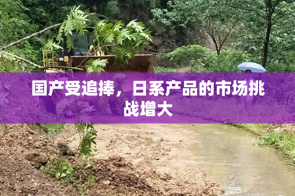 国产受追捧，日系产品的市场挑战增大