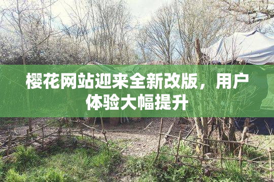 樱花网站迎来全新改版，用户体验大幅提升