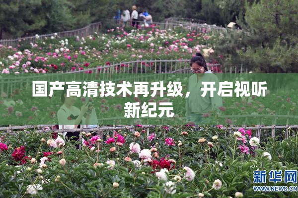 国产高清技术再升级，开启视听新纪元