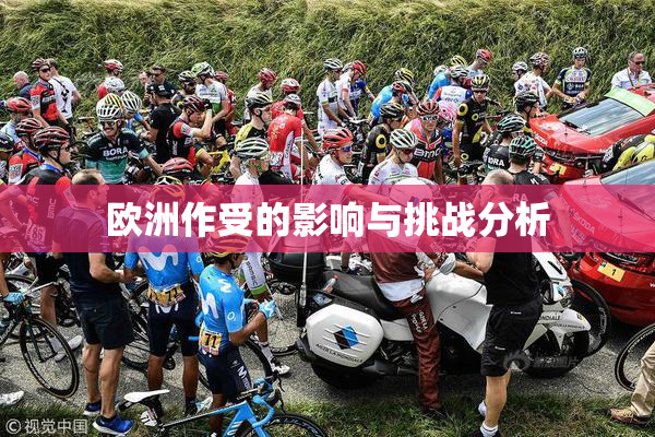 欧洲作受的影响与挑战分析