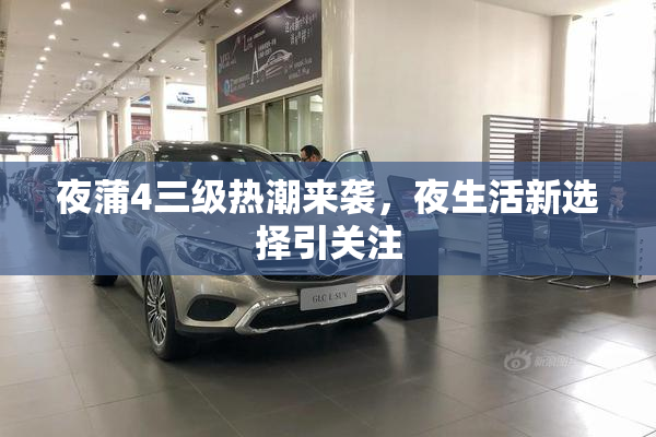 夜蒲4三级热潮来袭，夜生活新选择引关注