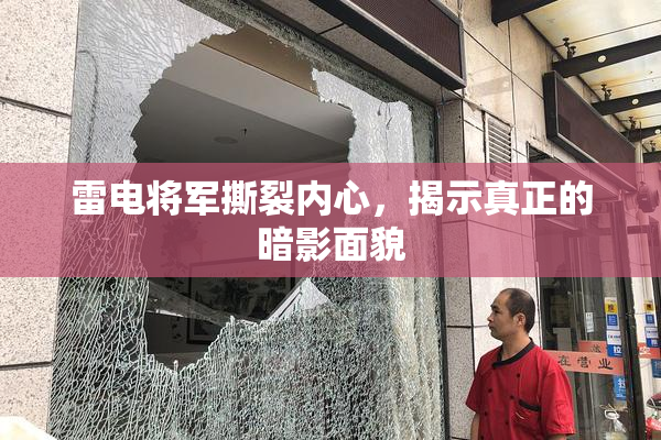 雷电将军撕裂内心，揭示真正的暗影面貌