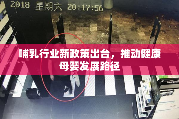 哺乳行业新政策出台，推动健康母婴发展路径