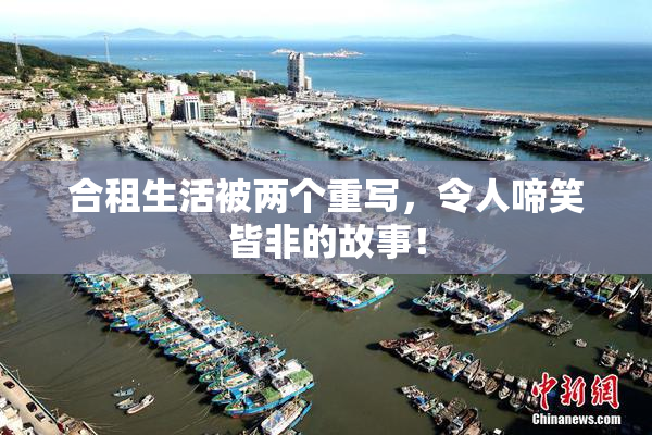 合租生活被两个重写，令人啼笑皆非的故事！