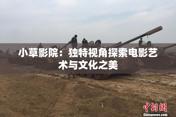 小草影院：独特视角探索电影艺术与文化之美
