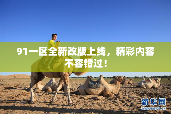 91一区全新改版上线，精彩内容不容错过！