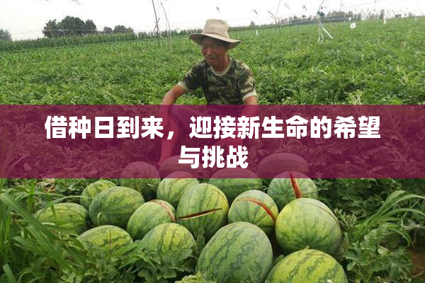 借种日到来，迎接新生命的希望与挑战