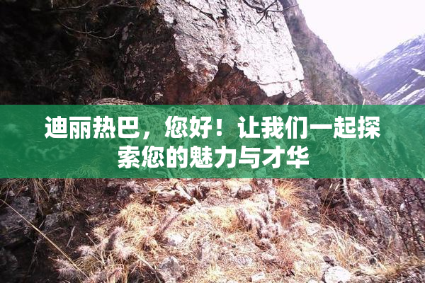 迪丽热巴，您好！让我们一起探索您的魅力与才华