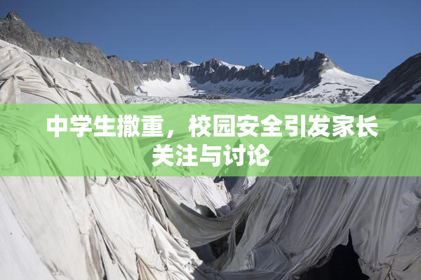 中学生撒重，校园安全引发家长关注与讨论