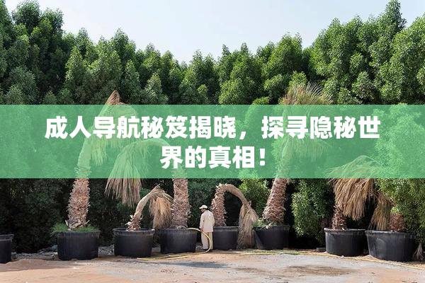 成人导航秘笈揭晓，探寻隐秘世界的真相！