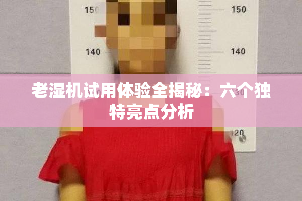 老湿机试用体验全揭秘：六个独特亮点分析