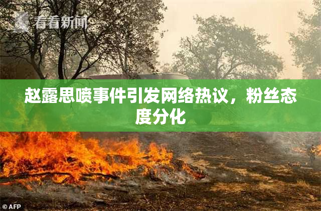 赵露思喷事件引发网络热议，粉丝态度分化
