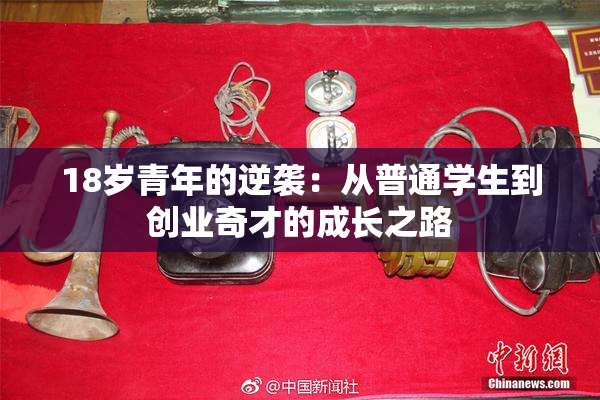 18岁青年的逆袭：从普通学生到创业奇才的成长之路