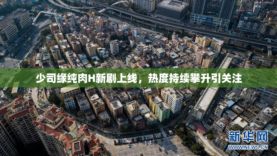 少司缘纯肉H新剧上线，热度持续攀升引关注