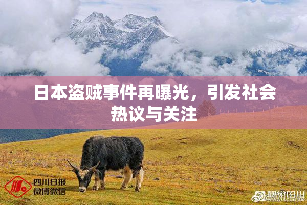日本盗贼事件再曝光，引发社会热议与关注