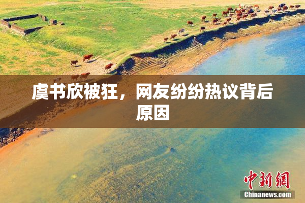 虞书欣被狂，网友纷纷热议背后原因