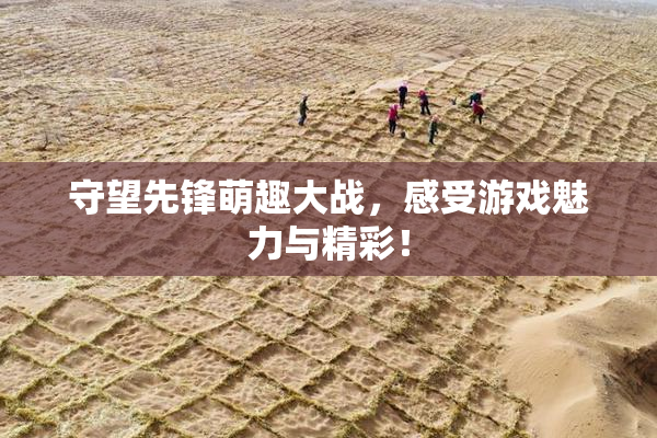 守望先锋萌趣大战，感受游戏魅力与精彩！