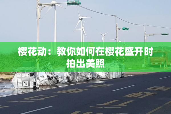 樱花动：教你如何在樱花盛开时拍出美照