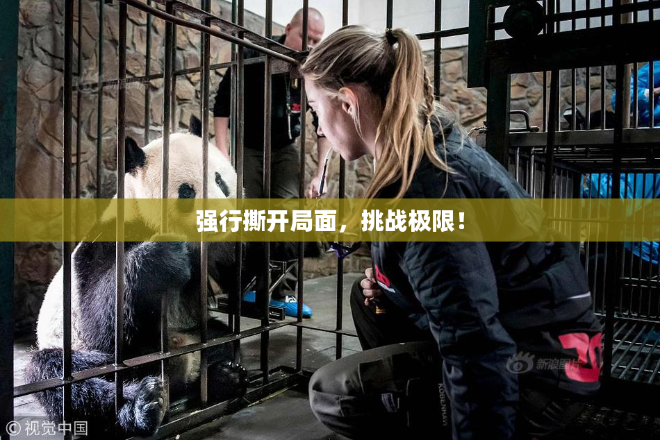 强行撕开局面，挑战极限！